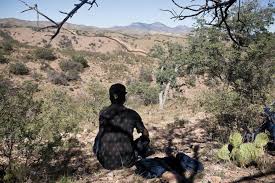 Die erlebnishaftigkeit der nächtlichen wüste von tamaulipas (hf s. Hoffen Auf Das Loch Im Grenzzaun In Der Wuste Sonoras Nzz