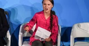 Image result for greta thunberg