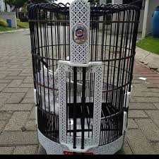 Untuk penempatan sangkar, ada baiknya untuk tidak menempatkan anis kembang ditempat yang ramai. Sangkar Burung Anis Kembang Fiber Bayu Sangkar Ebod Jaya Facebook