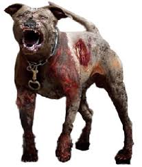 Zombie Dog Resident Evil Zombie Art Zombie
