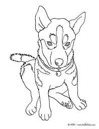 We have collected 100 coloring pages with dogs. Pin On Quilt Dog Applique
