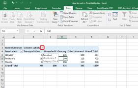 In excel 2010 this seems to have been improved and it is. How To Sort Pivot Table Custom Sort Pivot Table A Z Z A Order