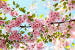 Beautiful Full Hd Wallpaper