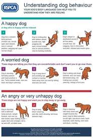 Dog Body Language Chart Decoding Behavior The Whoot Dog Body Language Dog Training Dog Behavior
