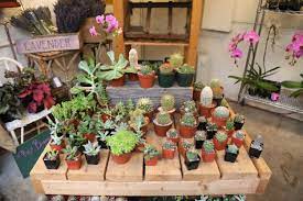 Our commitment to the best customer service, a wider range of availability, and more products, translates to one stop shopping for your needs and convenience. Seattle Wholesale Grower S Market Rain Or Shine Guides