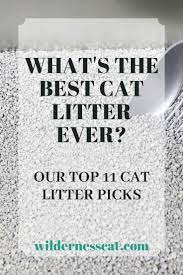 The Best Cat Litter In The World 11 Best Cat Litters Of 2020 Cat Litter Best Cat Litter Cool Cats