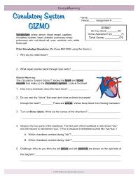 Worksheets are explorelearning student exploration cell structure answer, student exploration cell types, teacher guide gizmo cell division answer key ebook, cell structure exploration activities, student exploration. Circulatory System Gizmo Circulationgizmo Pdf Kent
