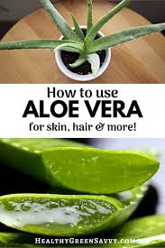 Jan 06, 2021 · to harvest all of the internal aloe vera gel for use in face masks, hydrating lotion, sunburn relief or smoothies, lay the leaf on a cutting board and slice off both spiny edges. Incredible Uses For Aloe Vera Plant Healthygreensavvy