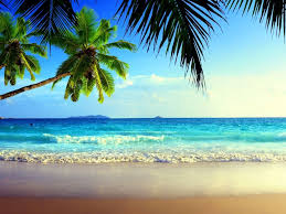 High quality stock images and images. Beach View Wallpapers Top Free Beach View Backgrounds Wallpaperaccess