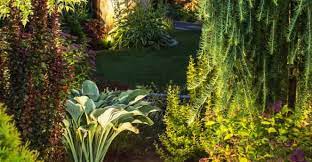 We are your premier source for highland park, il landscape lighting and outdoor lighting. Landscape Lighting Highland Park Il Chop Chop Landscaping Highland Park Il