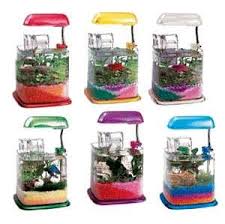 Pin By Patty Altermatt On Fish Tanks Betta Fish Tank Fish Tank Sizes Fish Tank