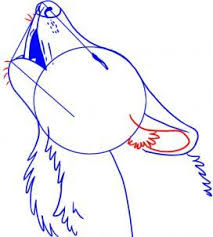 How To Draw A Howling Wolf By Dawn Esbocos De Animais Inspiracao De Desenho Cartoons Desenho
