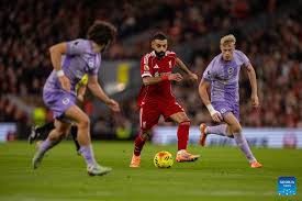liverpool vs brighton