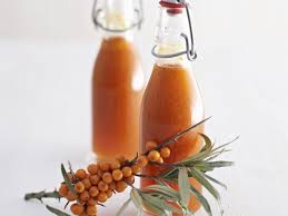 Sanddorn Rezepte Wirkung Und Noch Mehr Nutzliche Fakten Sanddorn Rezepte Sanddorn Rezepte