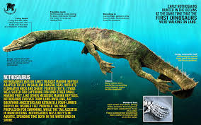 Image result for Nothosaurus