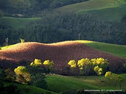 Cultivo De Maiz Vereda La Ramada Beautiful Places To Visit Places To Visit Landscape