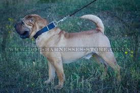 Check spelling or type a new query. Top Dog Collar Brands Dog Walking Harness And Anti Pull Harnesses For Easy Walk In Miraculous Styles Dog Walking Harnesses Store