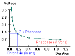 Strength Duration Curve