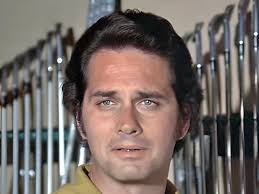 Image result for Dark Harvest Gold 1972 Fedders