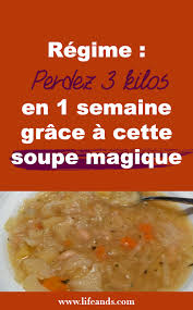 Il Existe Une Plethore De Regimes Minceur Mis En Avant Pour Leurs Resultats Satisfaisants En 2020 Soupe Aux Choux Regime Maigrir Vite Et Bien Recette Soupe Aux Choux
