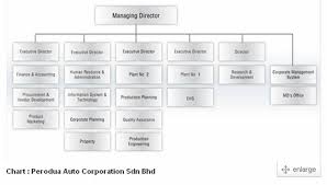 Pengarah urusan :muhammad hasri bin razali. Perodua Organization Chart Perokok B