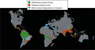 Tropical rainforests are located around central america, north and east south america (the amazon), central africa and south east asia. Tropical Rain Forest An Overview Sciencedirect Topics