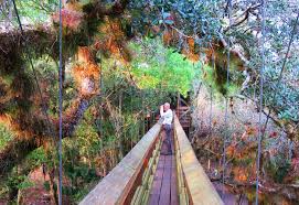 Tickets & tours‎ siesta key village: Myakka River State Park 10 Reasons To Visit A Fabulous Wild Place