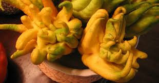 It's most commonly compared to scrambled egg. Here Are 20 Of The World S Most Rare And Exotic Fruits