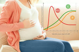Hcg Tabelle Hcg Werte Fur Jeden Tag Der Schwangerschaft