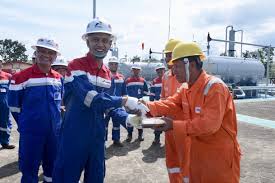 Tapi kondisi cadangan pertamina ep perlu diperhatikan, untuk minyak tinggal 9,7 tahun dan reserve gas 7,8 tahun. Direktur Pimr Pertamina Pantau Operasional Pertamina Ep Asset 1 Jambi Field Pertamina