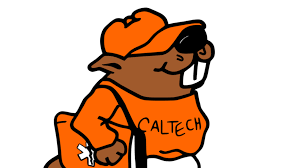 Buying health insurance for the first time seems confusing at first. Health Advocate Student Wellness Services