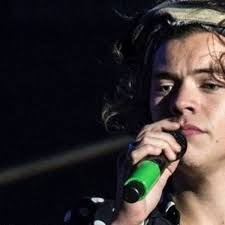 Harry Styles 'lookalike' may be headed in the wrong direction