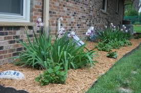 How to care for crape myrtle trees. Anniversary Garden