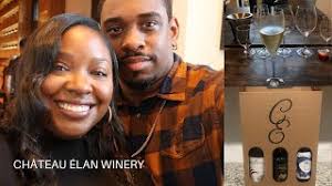 VLOG: Chateau Elan Winery Tour Vlog