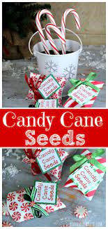 Candy Cane Seeds Christmas Crafts Candy Cane Christmas Presents For Girls