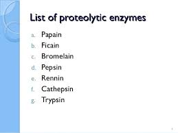 Used in various industries such as detergent, silver recovery, food, pharmaceutical, leather and textile industries. Protease Enzymes Enzymes Muscle Weakness Bromelain