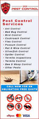 Emergency pest control service available 24/7! 000 Pest Control Bee Wasp Removal Hoppers Crossing