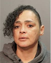 ᐅ Illinois Criminal Records 2009-2025