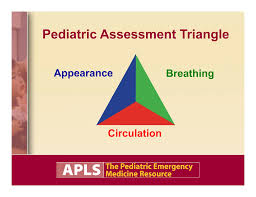 Image result for Pediatric Assessment Triangle