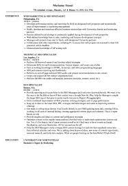 They will play just a part in your overall. Seo Specialist Resume Samples Velvet Jobs