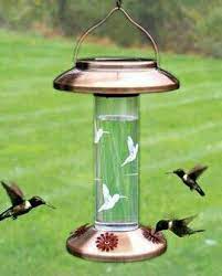 Amazon this is a beautiful hummingbird feeder by day; Such A Pretty Hummingbird Feeder Bird Feeders Humming Bird Feeders Hummingbirds Feeder