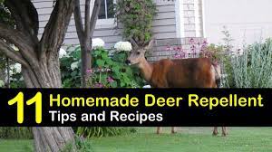 Check spelling or type a new query. 11 Brilliant Diy Ideas For Deer Repellents