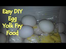 Easy Diy Egg Yolk Fry Food Youtube