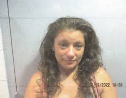 Multiple Arrests Made By The Carmi Police Department