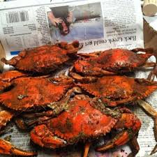 Beth Paolucci (@bbpooch)