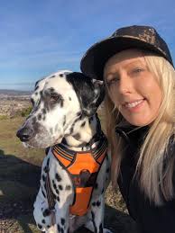 Beloit's Autumn Stage & Sound Celebration is here! From chart-topping  concerts and Broadway blockbusters to intimate shows along the Rock River,  the season is packed with unforgettable nights. Jonas Brothers • Benson