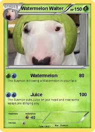 Limit giving your dog only part of the fruit and skip giving your dog watermelon rinds or the seeds, especially when it comes to small dogs. Pokemon Watermelon Walter