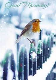 Good Morning Winter Images Good Morning Images With Nature Whatsapp The blossoms are like bells. good morning winter images good