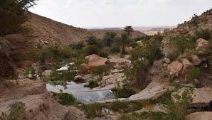 بوكحيل بالجلفة يشارك الجميع البهجة قبل أن يغادر الربيع ربوعه الجلفة بانوراما Outdoor Water Coastline