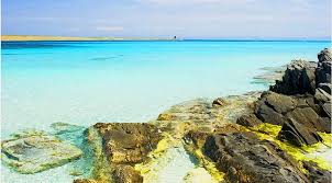 Hometogo.com has been visited by 100k+ users in the past month 6 Of The Best Beaches In Sardinia Top Local Recommendations